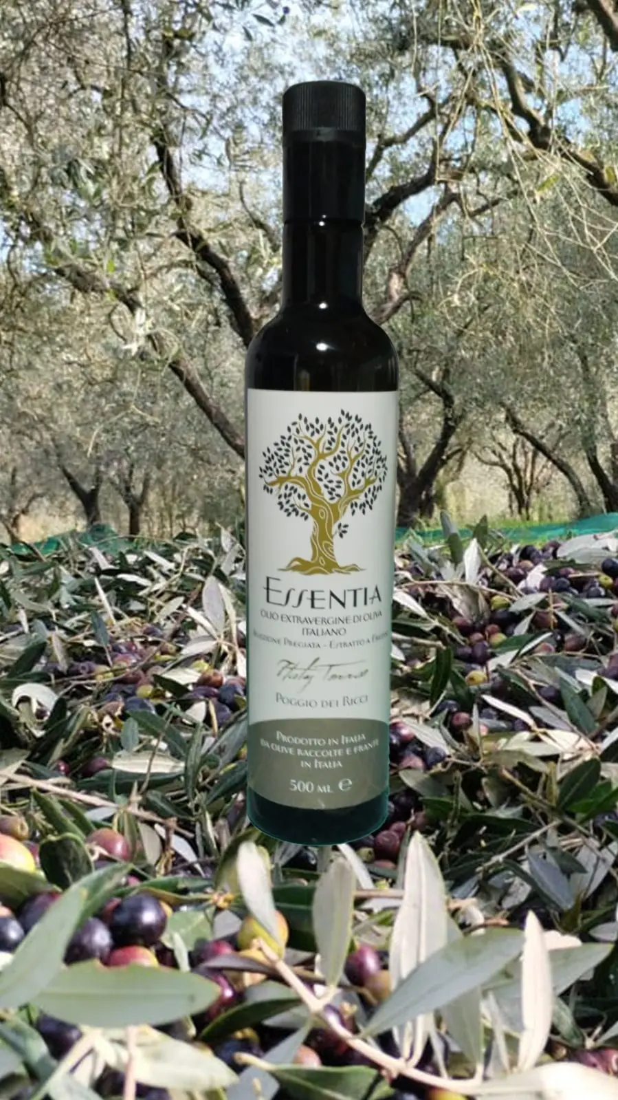 Olio Extra Vergine Essentia